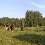 Panorama1.jpg